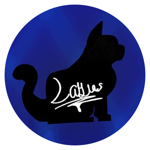 What Layla Made Next logo